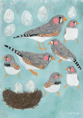 Finches Eggs Nest postcard