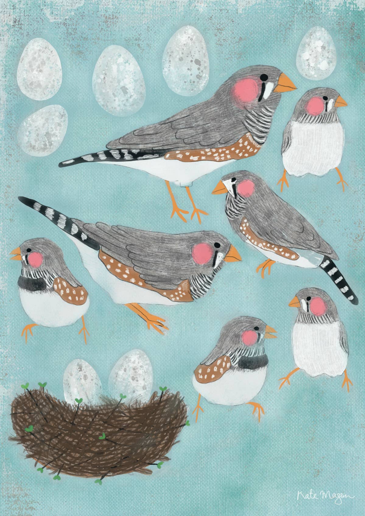 Finches Eggs Nest postcard