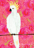 Cocky Fancy Floral GREETING CARD Australia Snail Mail Stationery Gift